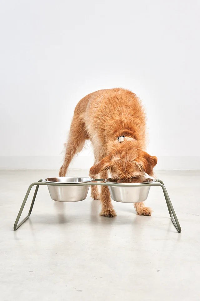 Spring Cleaning Your Dog's Sleep Space: A Guide to Hygiene and Comfort