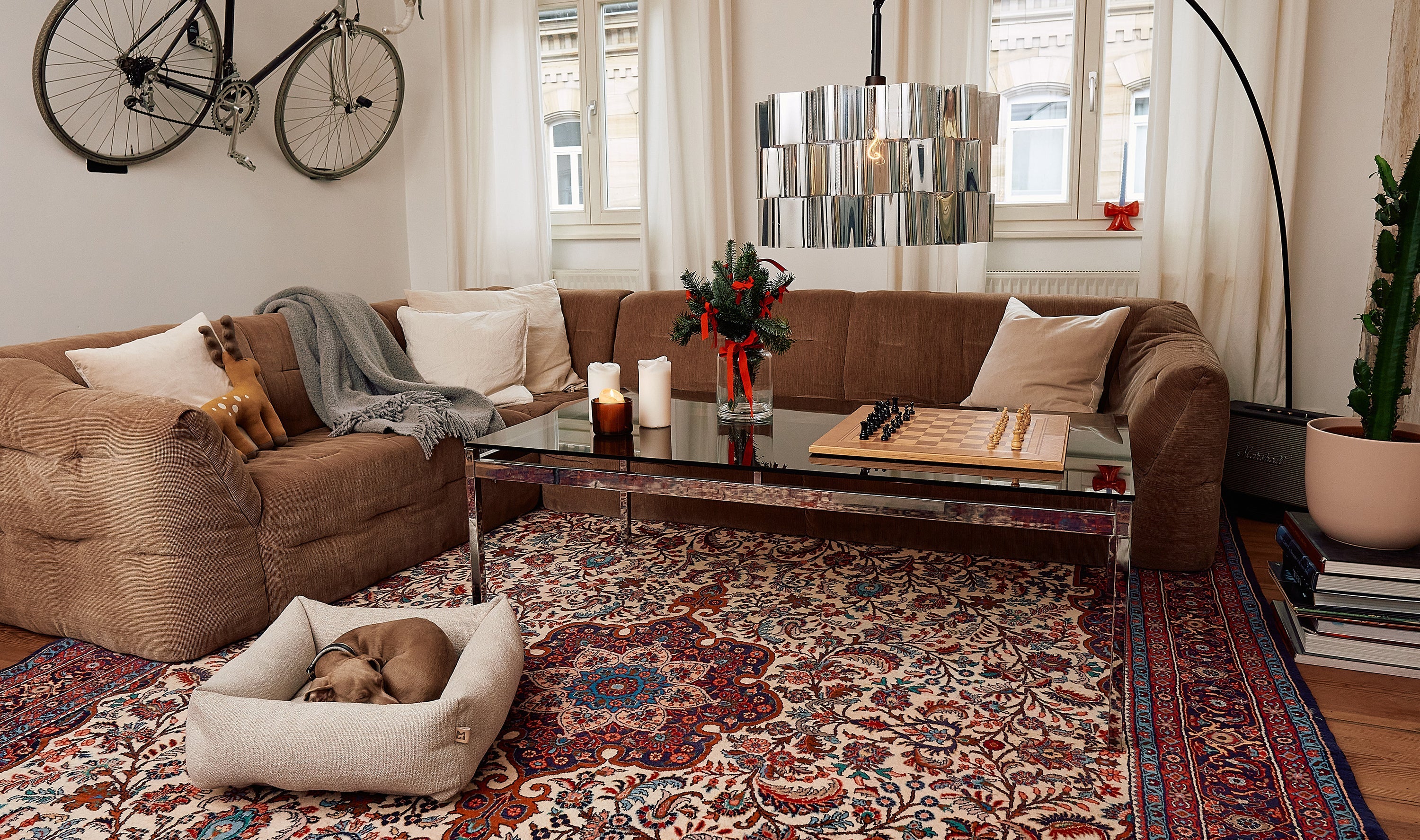 Winter Wellness: Creating Cosy Spaces for Your Dog's Health