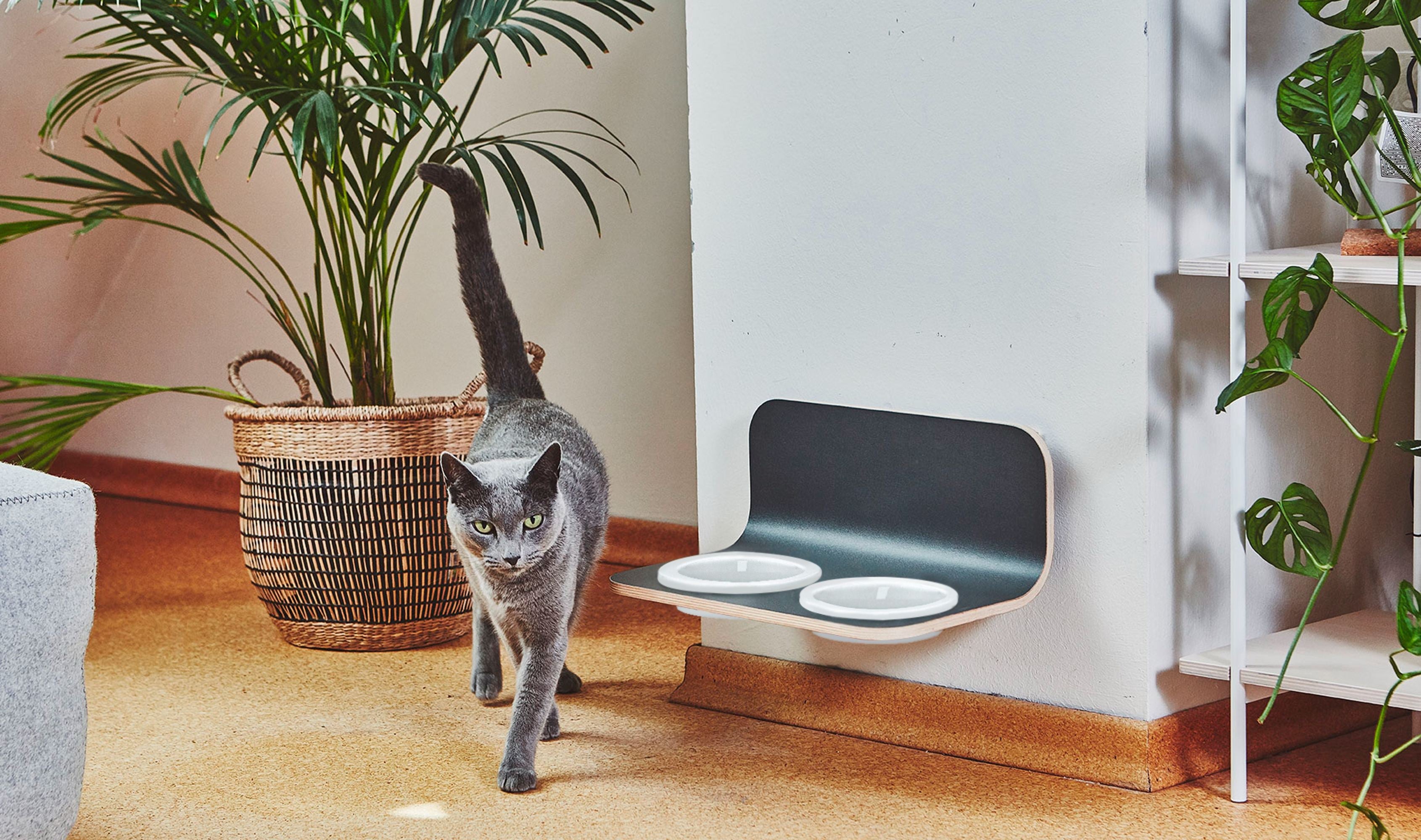 Elevated Cat Bowls: The Style-First Guide to Cat Feeding Stations