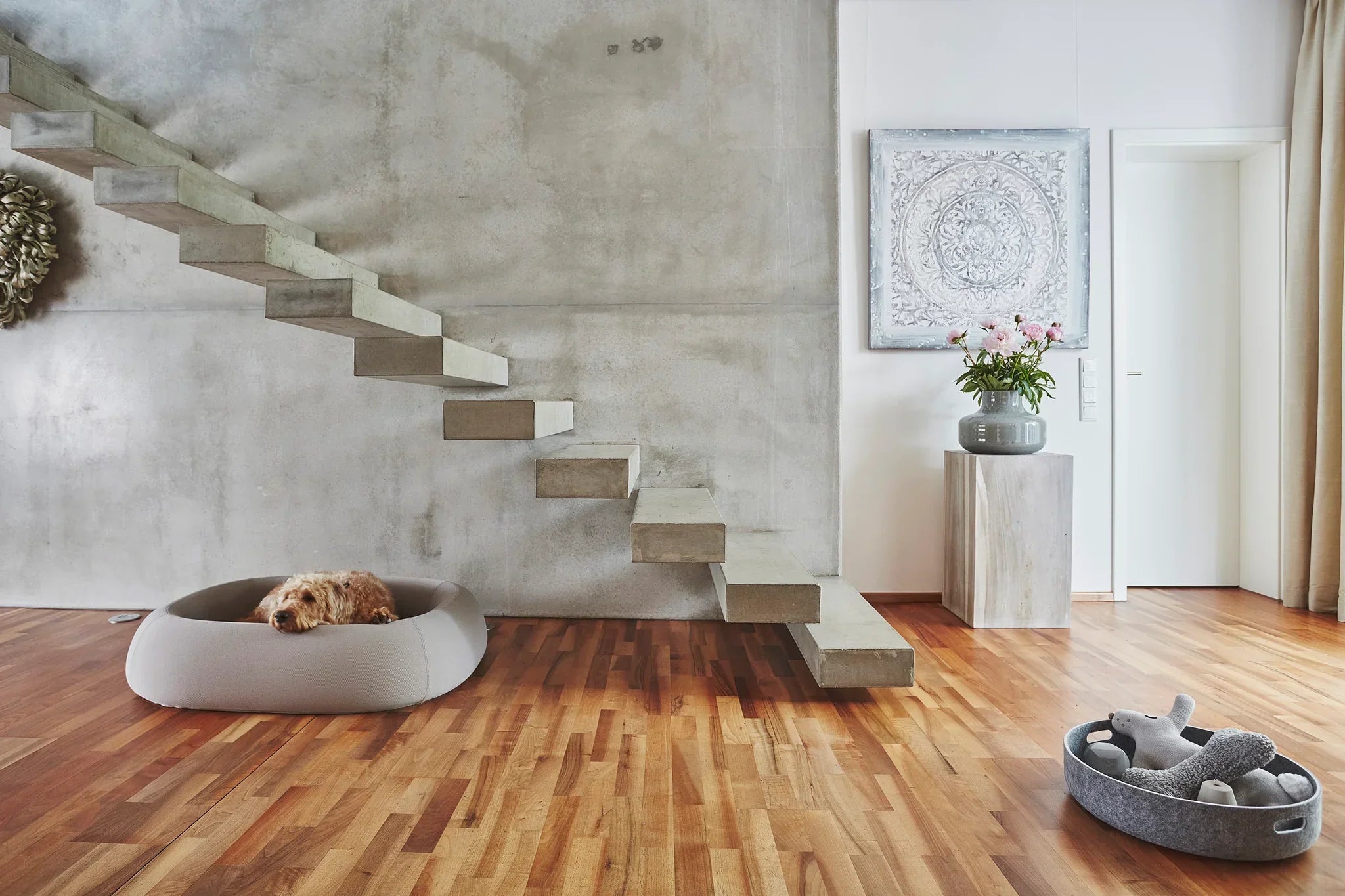 MiaCara: German Design Meets Pet Comfort