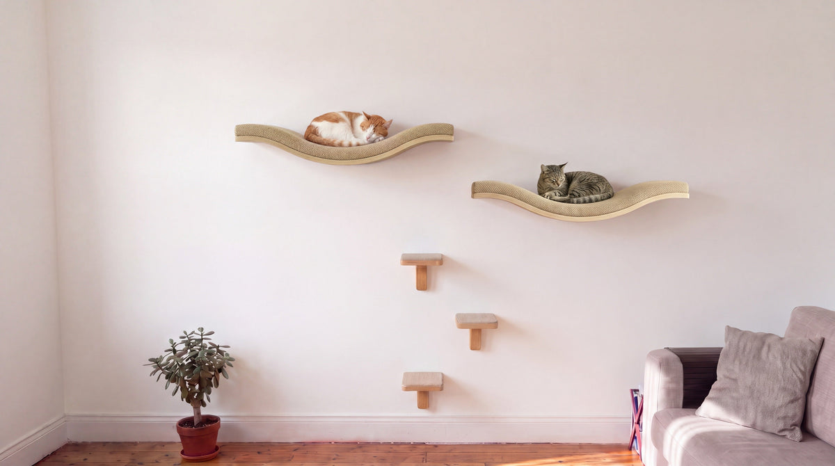 The Full Wall on a living room wall: two Wavey Retreat cat wall shelves with a cat asleep on each, and three Cat Wall Steps in a zig-zag below