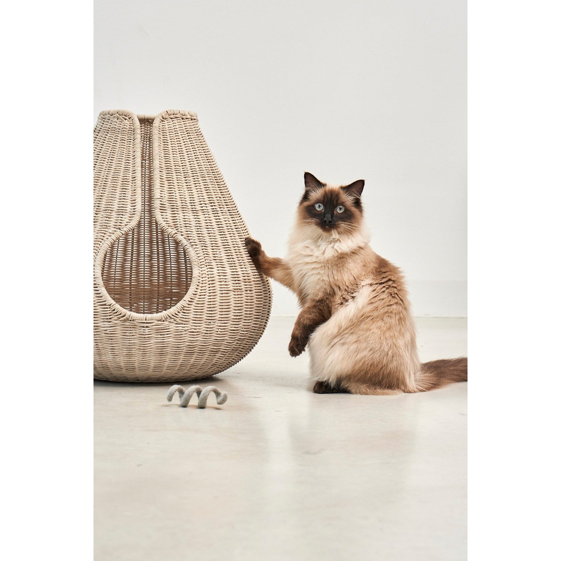 MiaCara Perla cat cave in natural felt - handwoven minimalist design with hooded entrance, shown with Siamese cat