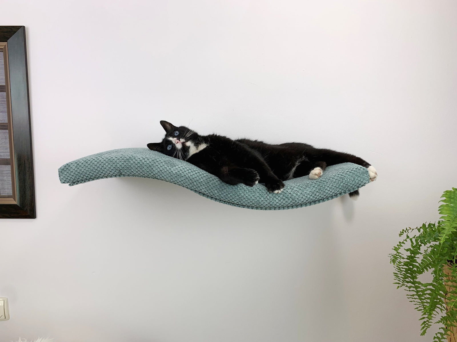 Designer cat furniture from Cat's Atelier and MiaCara: wall shelves, climbers, perches and scratchers