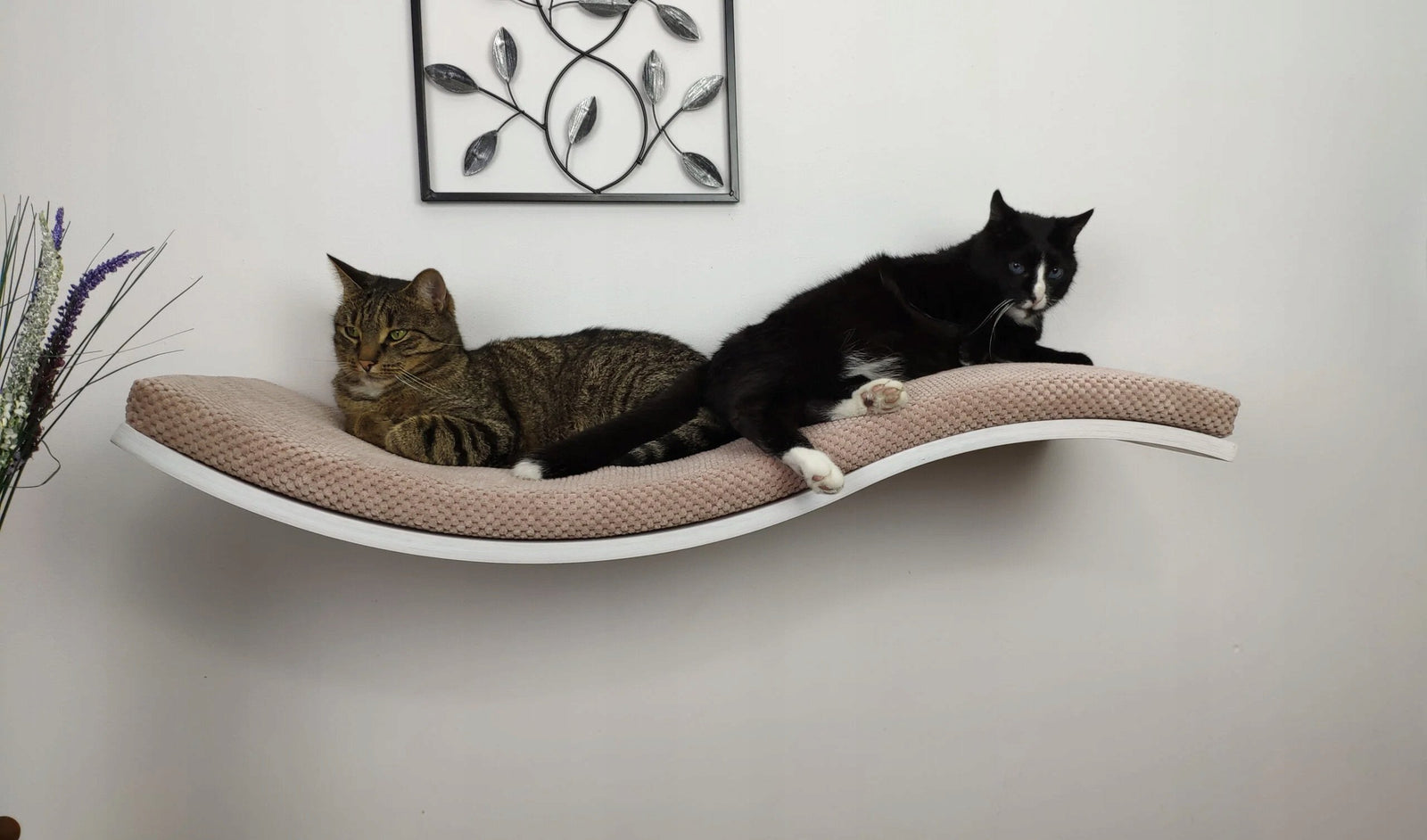 Cat's Atelier