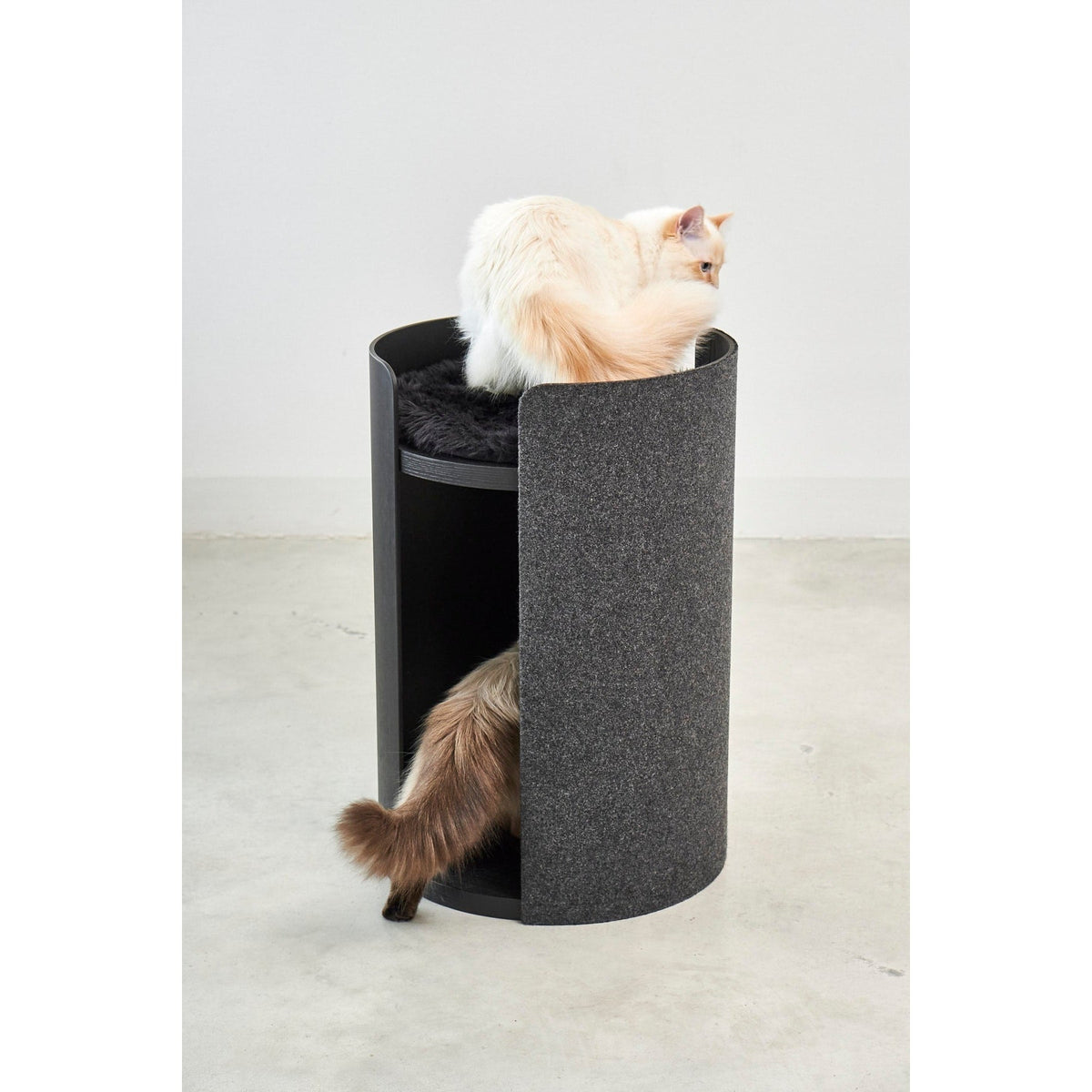 A fluffy cat perched on top of the charcoal MiaCara Torre cat tower with a second cat at its base, showing the full height of the tower