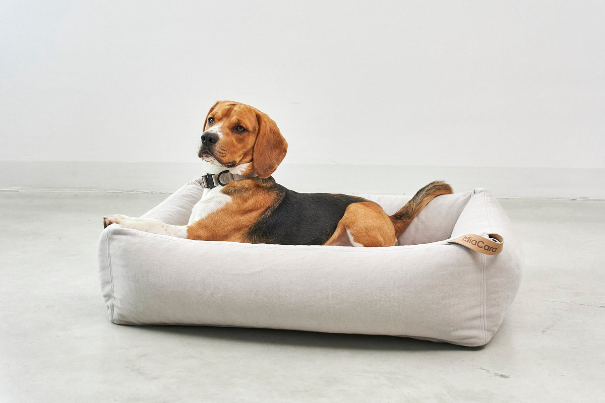 Dog beside a MiaCara Comodo dog bed cover in a living room