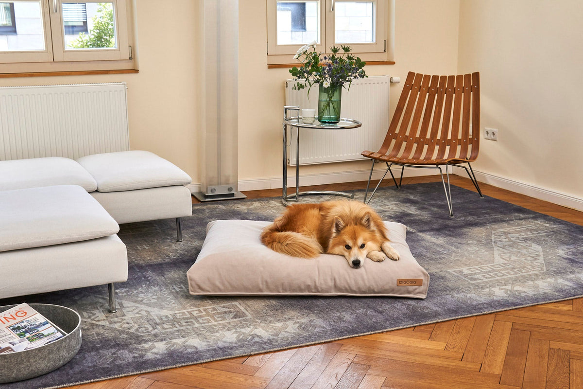 Dog resting on a MiaCara Comodo dog cushion in a living room