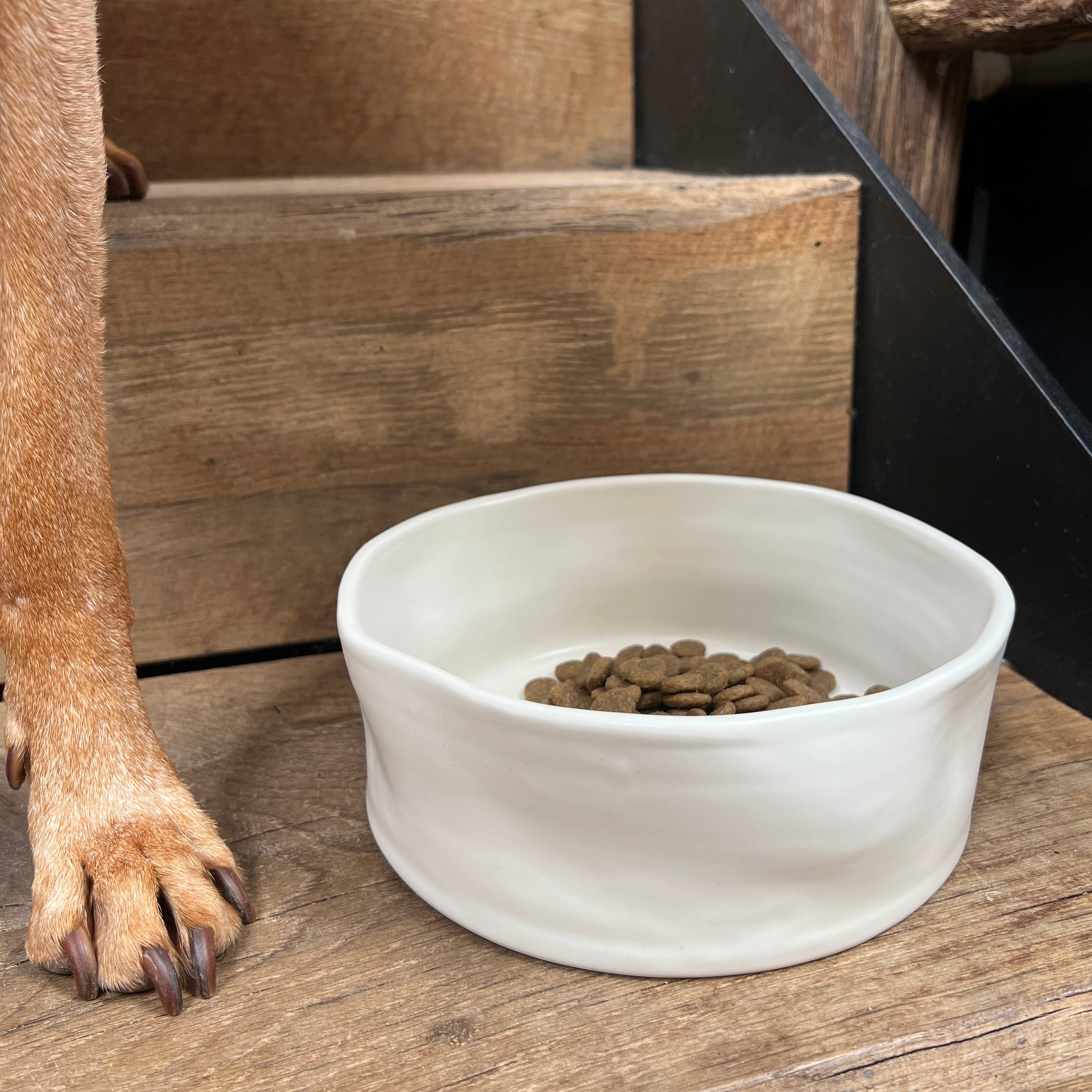Oonalfie Wibble stoneware dog bowl in white glaze, handmade by Emma in Berkshire from chip-resistant stoneware