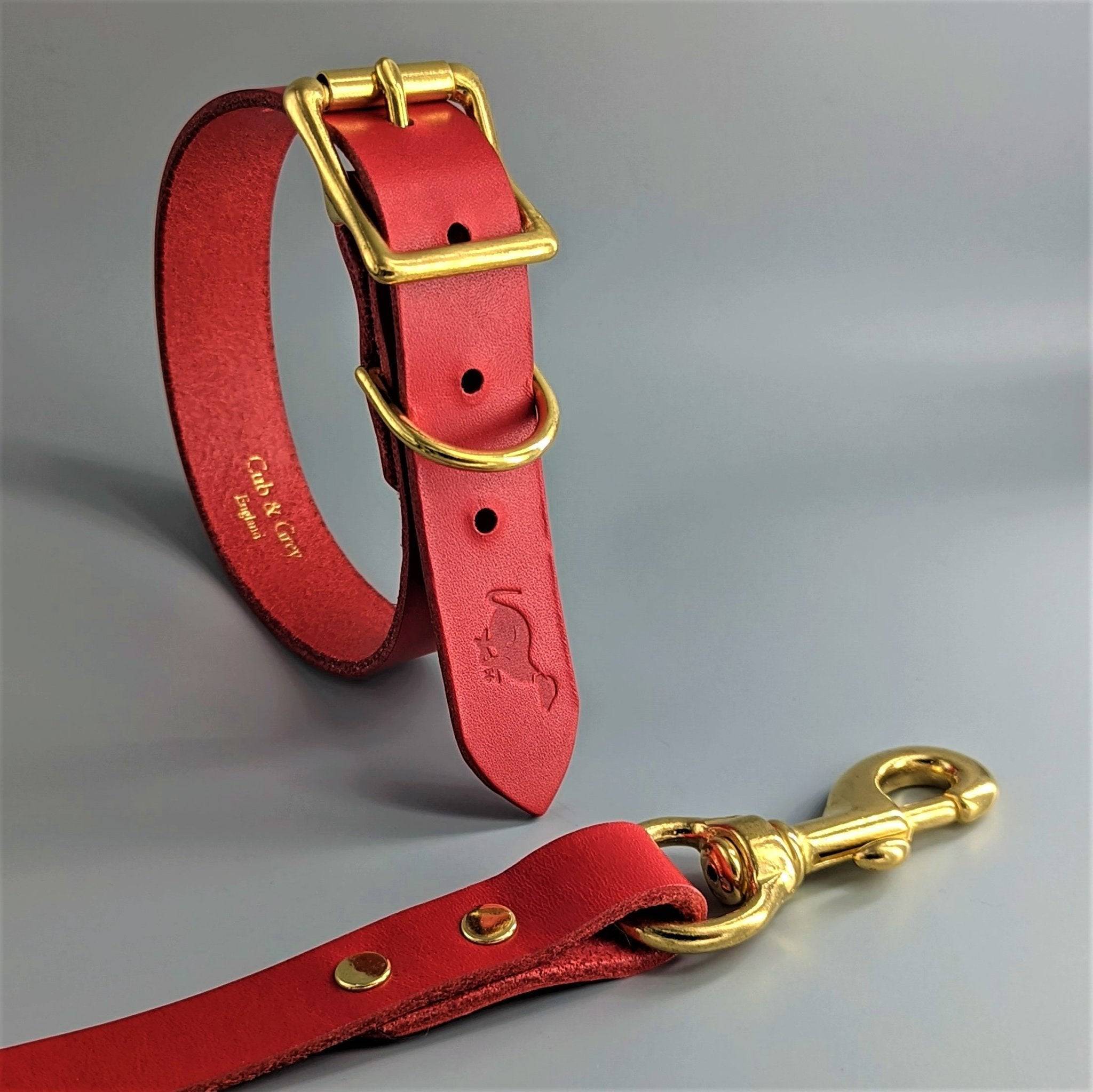Red leather dog collar and leash set with brass hardware featuring traditional buckle and snap hook attachment