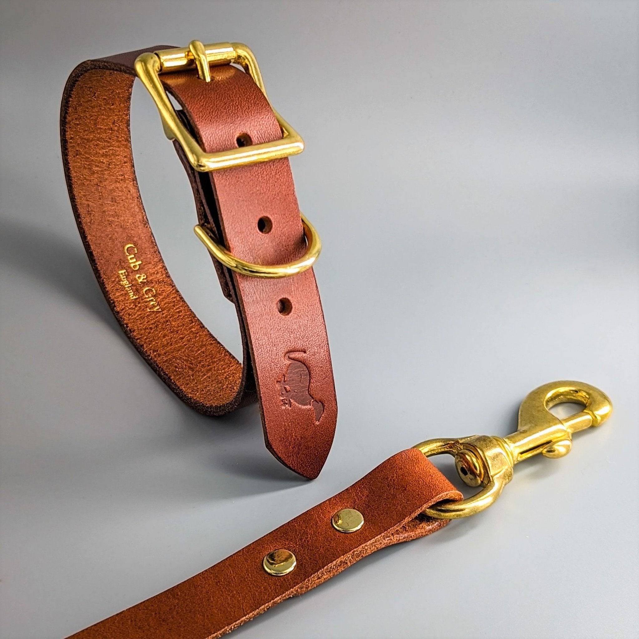 Brown luxury leather dog collar and matching lead set with brass buckle and D-ring hardware against gray background