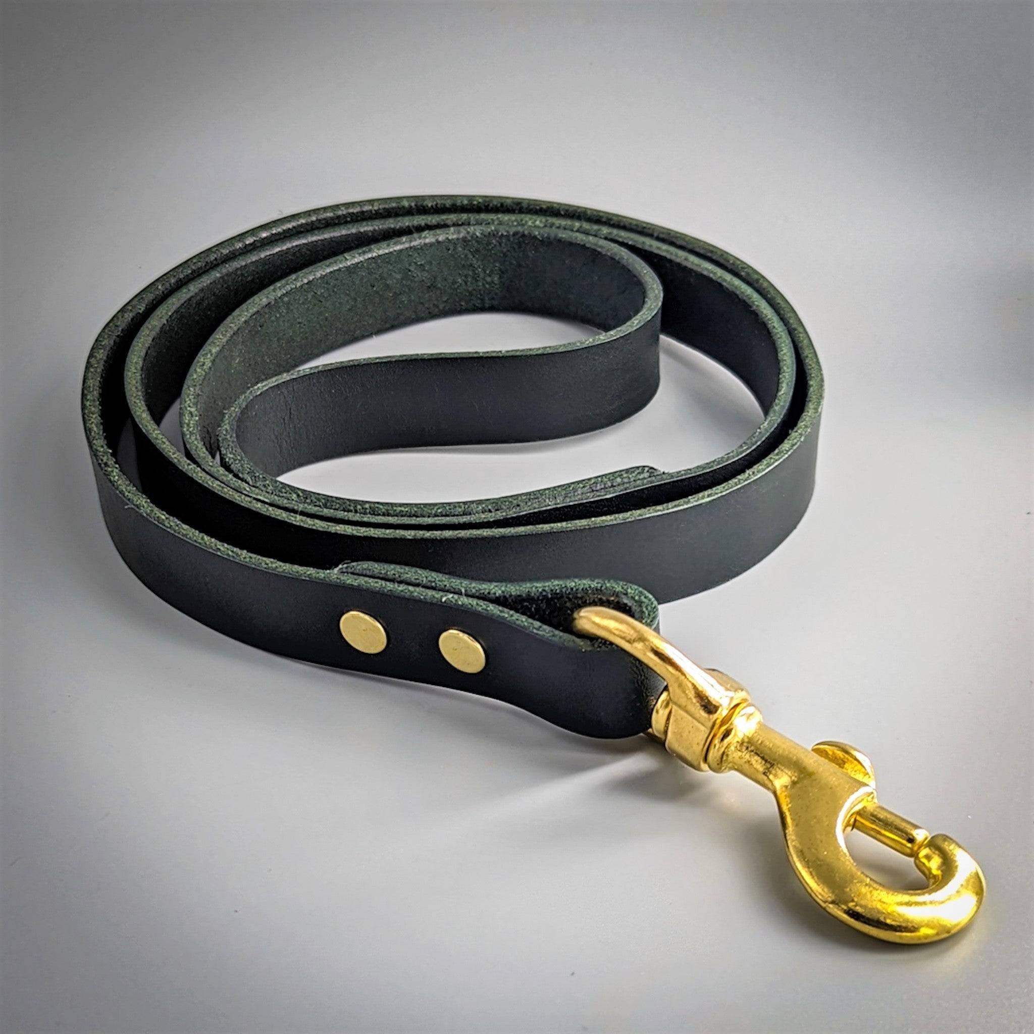 Cub & Grey Jet Black Leather Dog Lead with brass hardware on a plain background