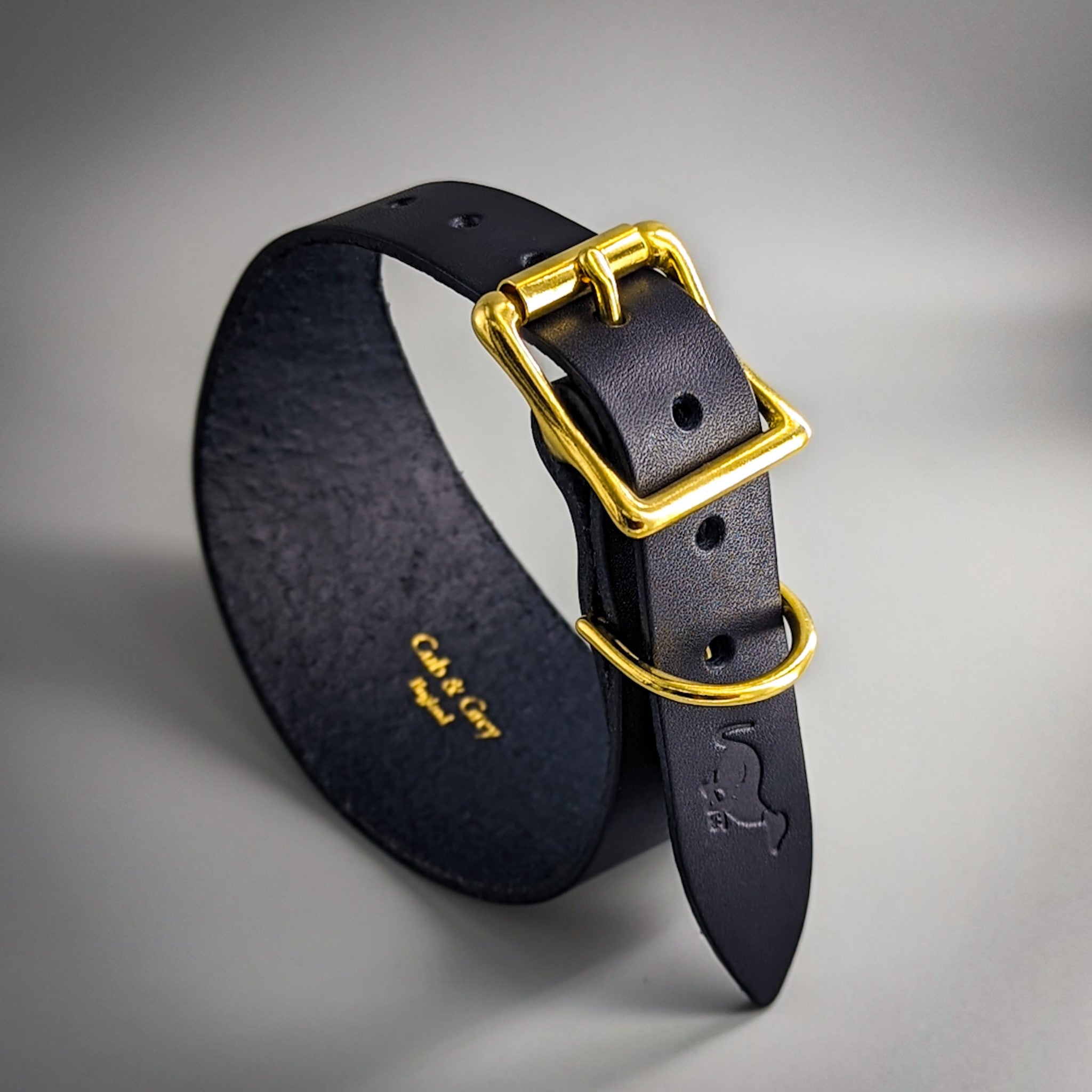 Black leather luxury whippet collar featuring gold-toned hardware and Coach branding on interior lining
