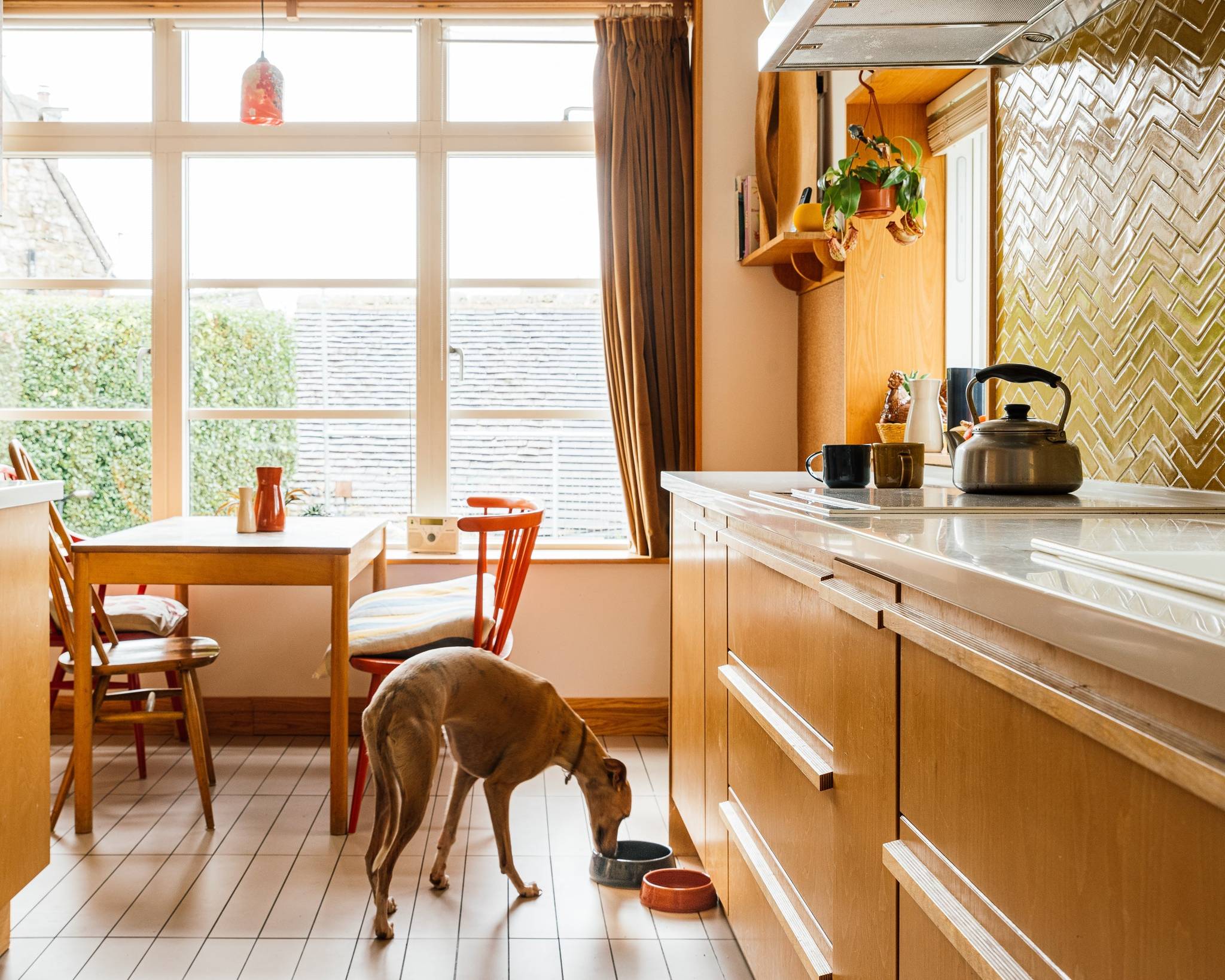 Handmade ceramic dog bowl on kitchen floor with brown dog eating, British stoneware pottery in modern home setting