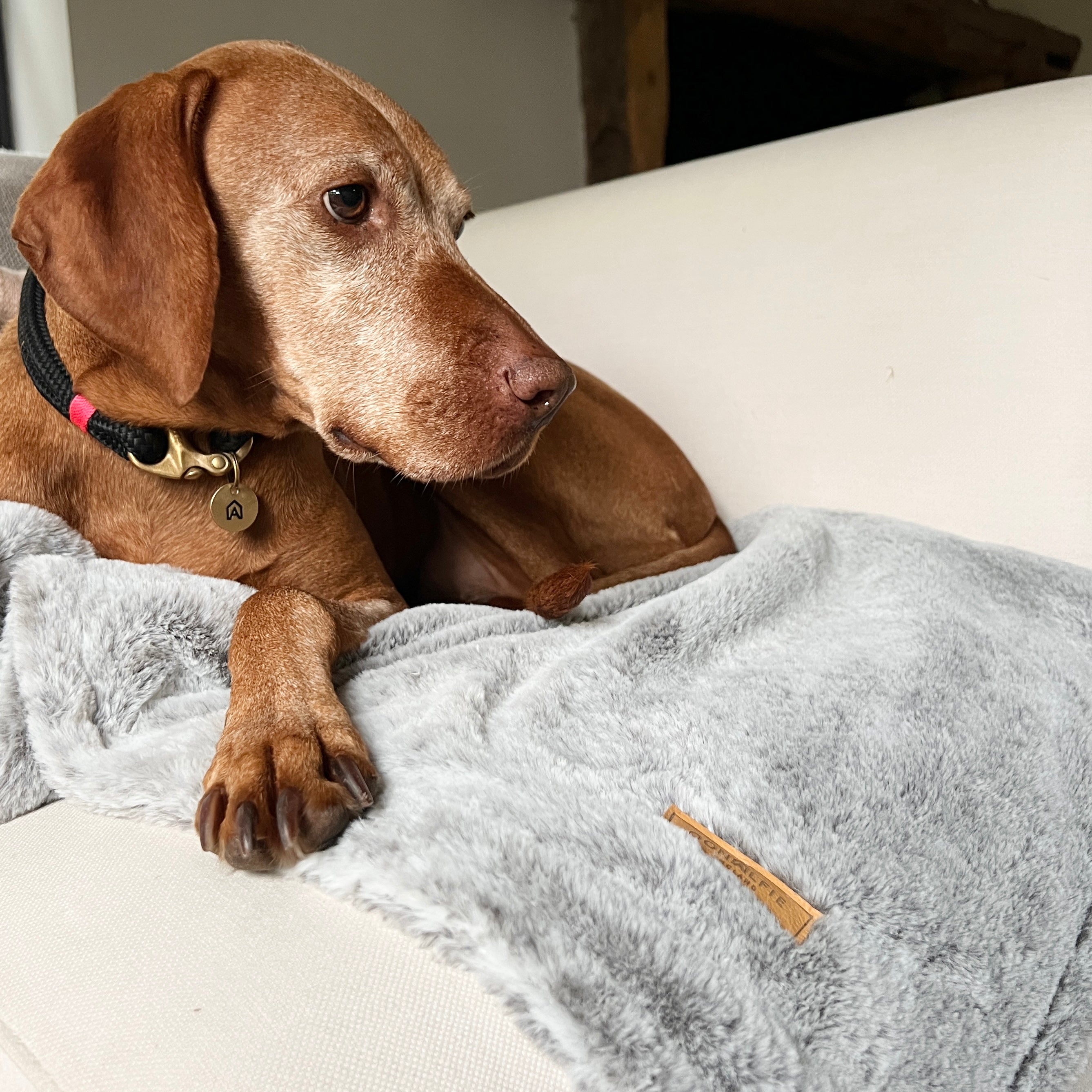 Oonalfie luxury faux fur dog blanket in warm grey, ultra-soft faux rabbit fur for dogs