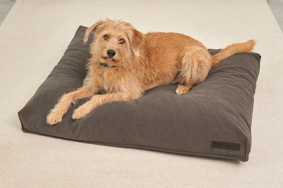 Dog lying on a MiaCara Comodo dog cushion in Chocolate