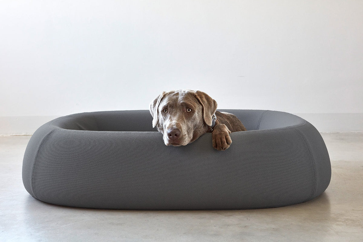 Weimaraner in a MiaCara Barca dog bed fitted with the Anthracite knitted cover