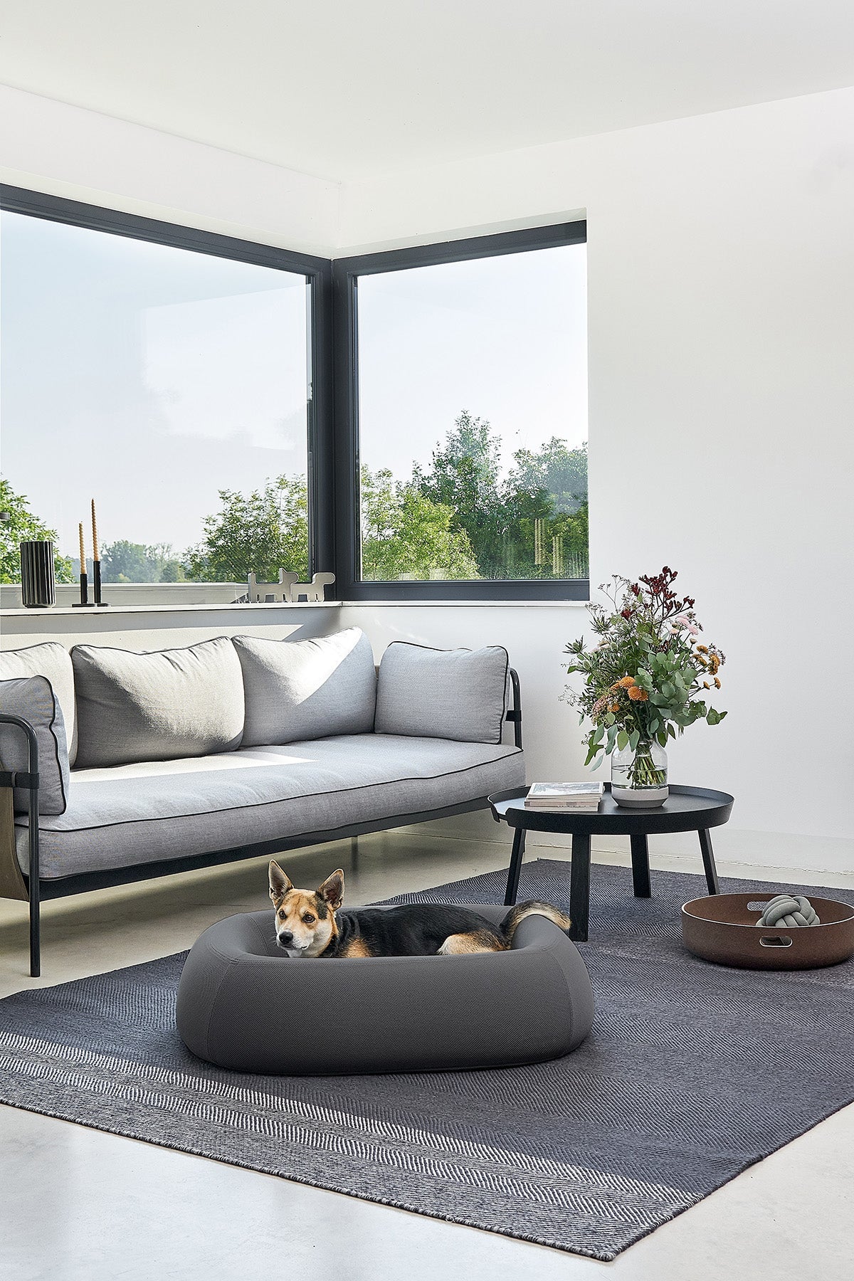 MiaCara Barca dog bed in Anthracite on a grey rug in a bright living room, a dog resting inside