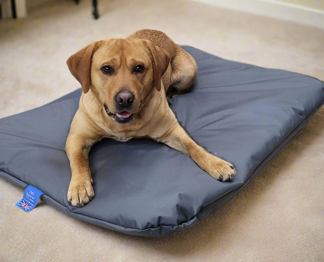 Golden Labrador resting on P&L Country Dog waterproof duvet bed with Union Jack label in grey on tiled floor