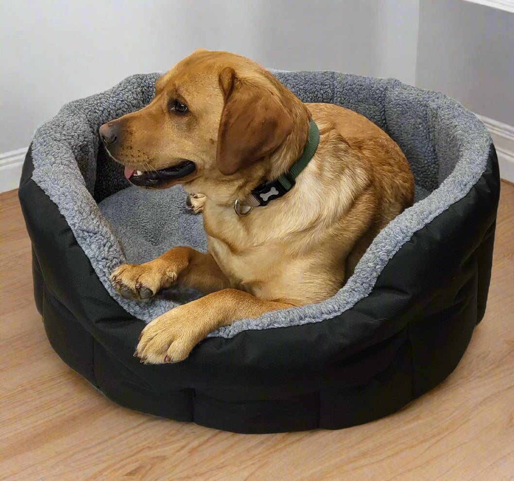 Golden Labrador relaxing in black waterproof oval dog bed with grey fleece lining and raised bolster sides