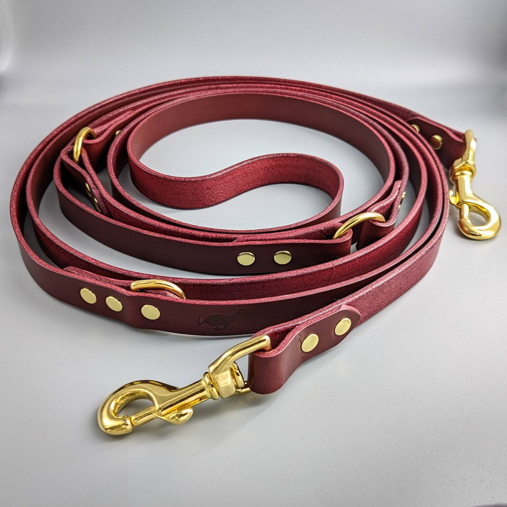 Luxury burgundy leather training lead with brass hardware, adjustable D-rings and snap hooks for hands-free use