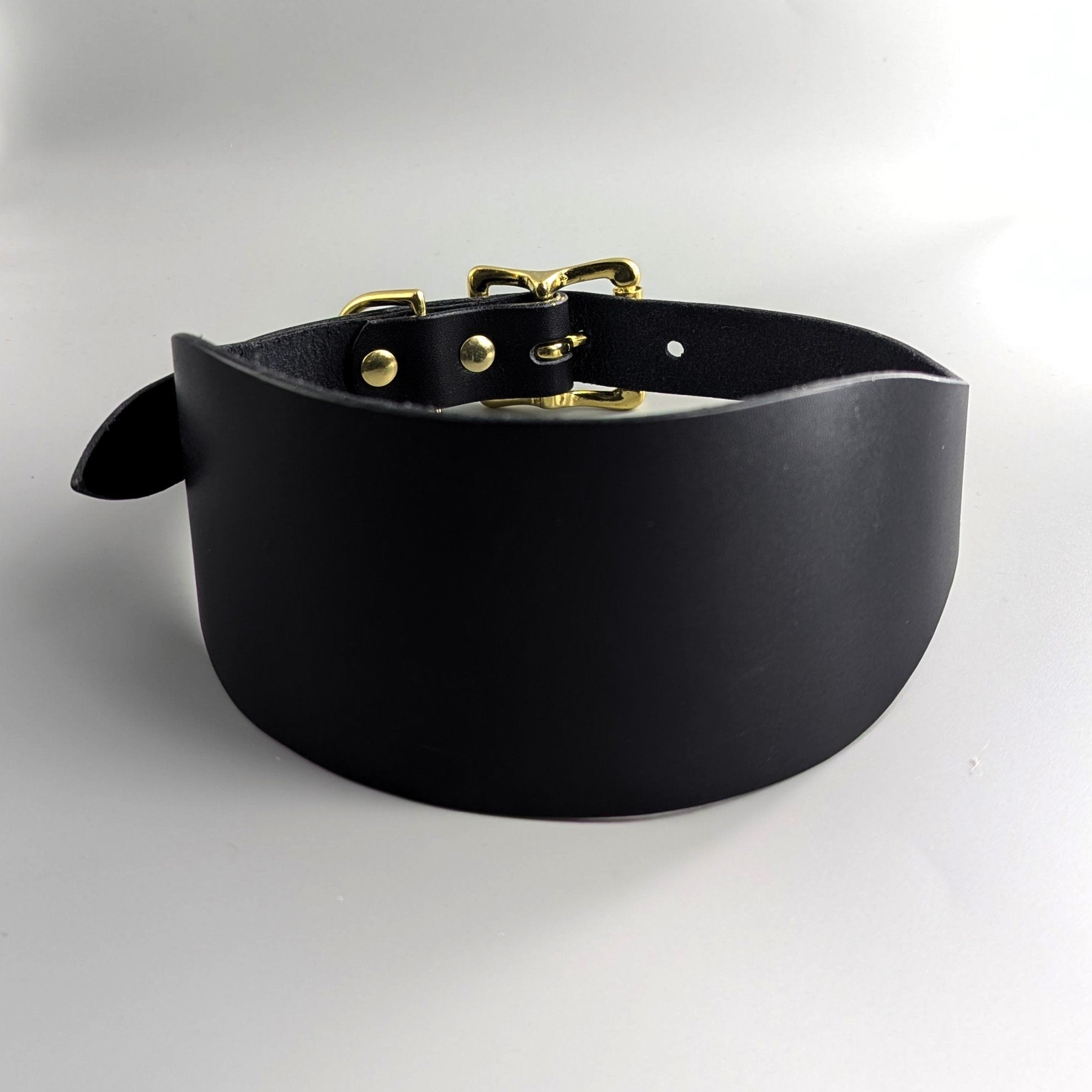 Black leather XL hound collar with gold hardware in ceramic bowl, wide band design for large sighthounds