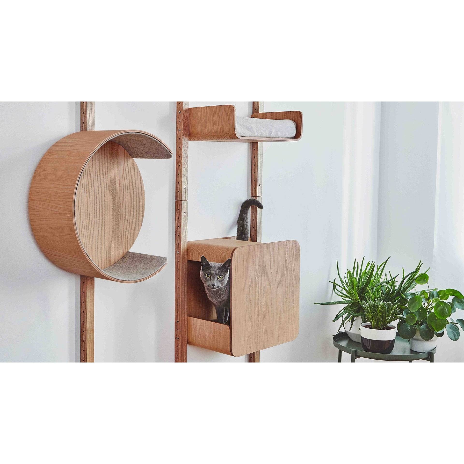 Modern wooden cat climbing wall system with grey cat, featuring minimalist German design and sustainable materials