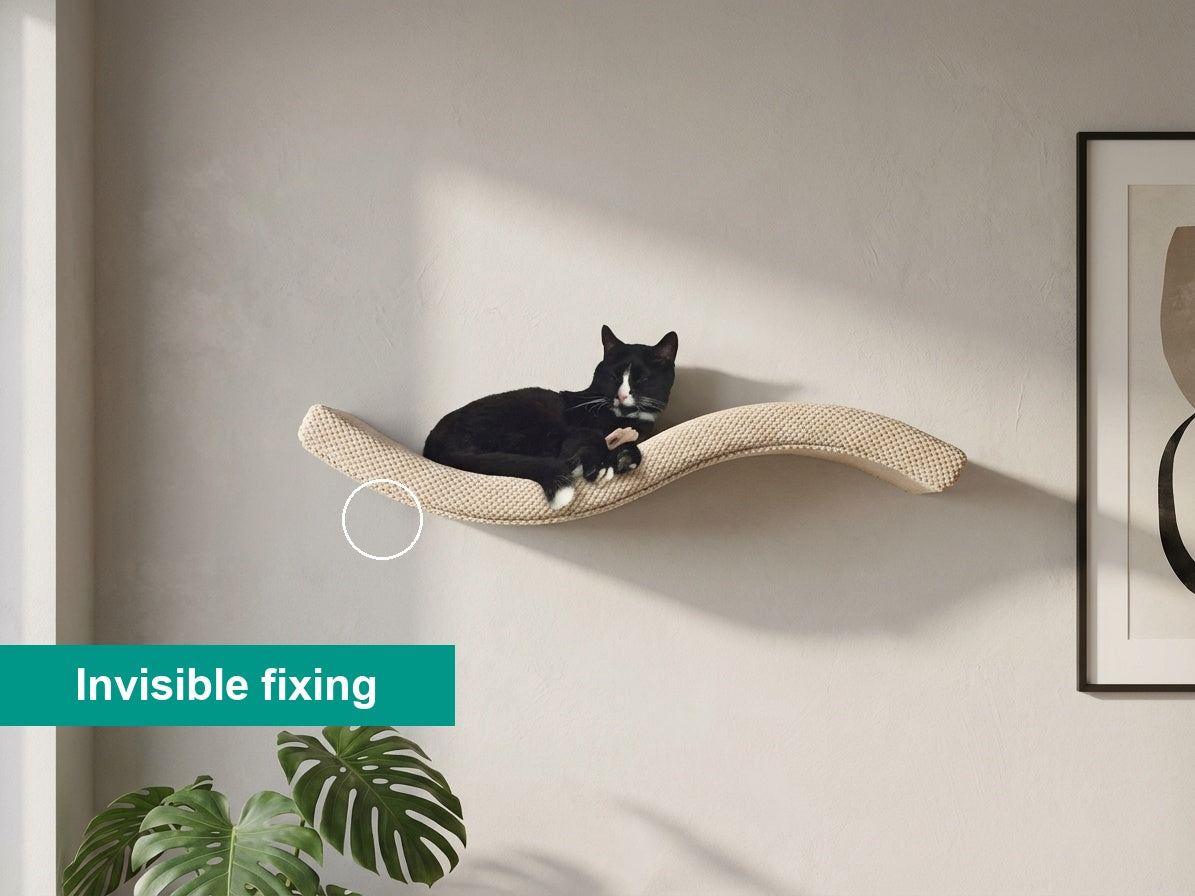 Black and white cat relaxing on curved beige wall-mounted cat shelf with invisible wall fixing system
