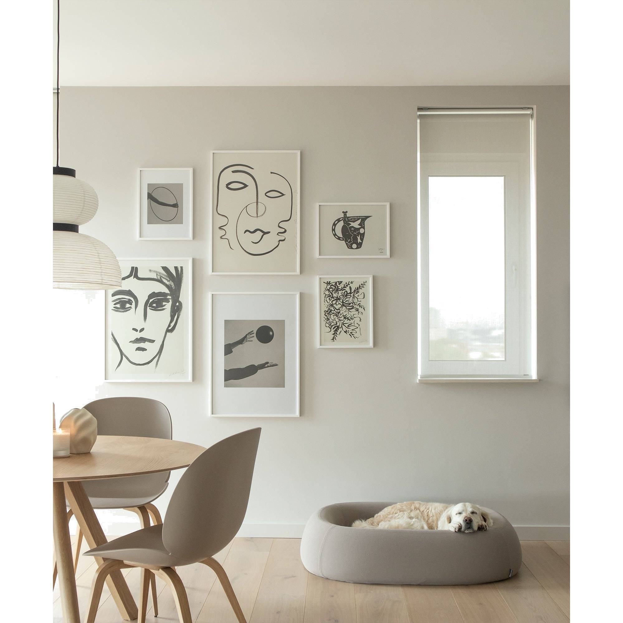 MiaCara Barca designer dog bed in minimalist modern interior with contemporary pet furniture and German craftsmanship