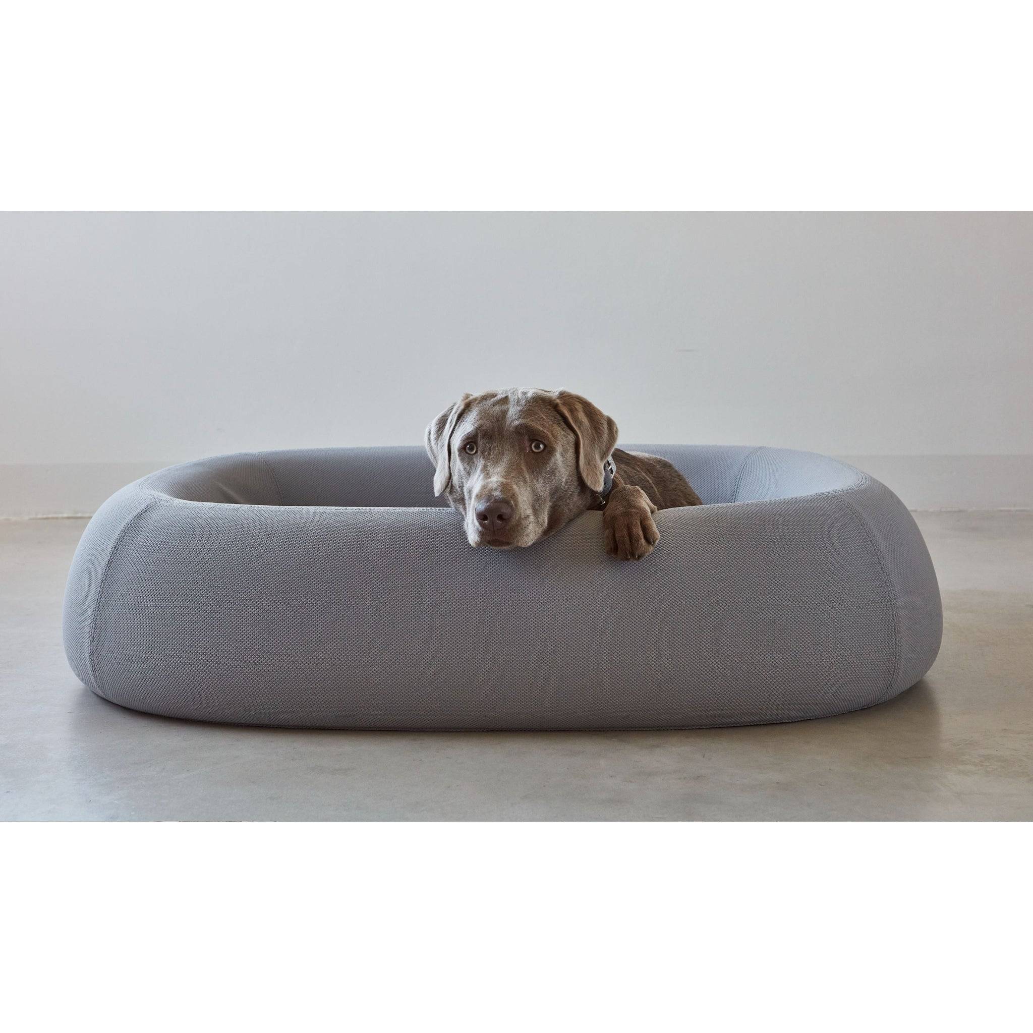 Grey Weimaraner in minimalist MiaCara Barca designer dog bed with sustainable fabric upholstery and modern design