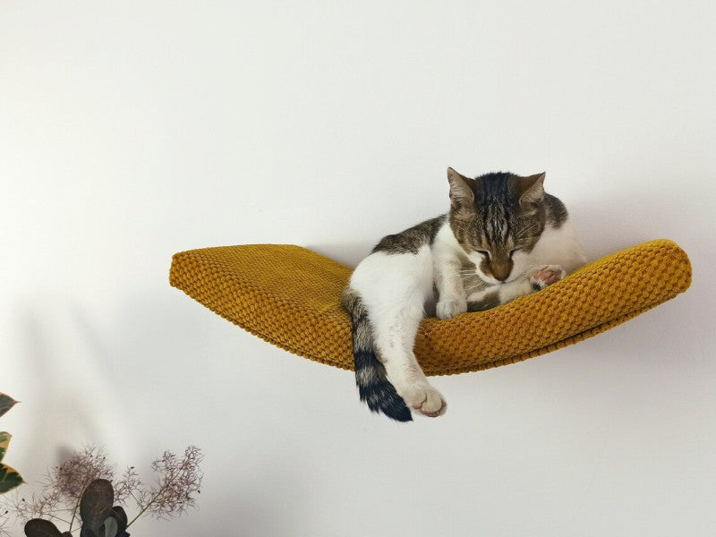 A sleeping tabby cat on a mustard yellow Cat's Atelier Floating Cat Wall Shelf