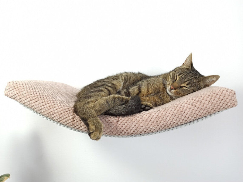 A tabby cat sleeping on a pink Floating Cat Wall Shelf by Cat's Atelier