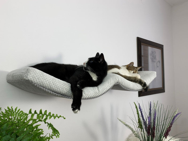Two cats relaxing on a white curved wall-mounted cat shelf with soft cushioning, demonstrating the Double Arch Haven