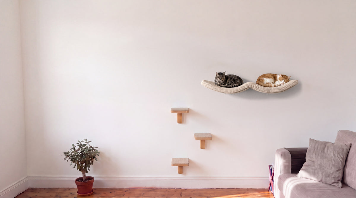 The Two-Cat Wall on a living room wall: The Double Arch Haven cat wall shelf with two cats asleep on it, and three Cat Wall Steps in a zig-zag below
