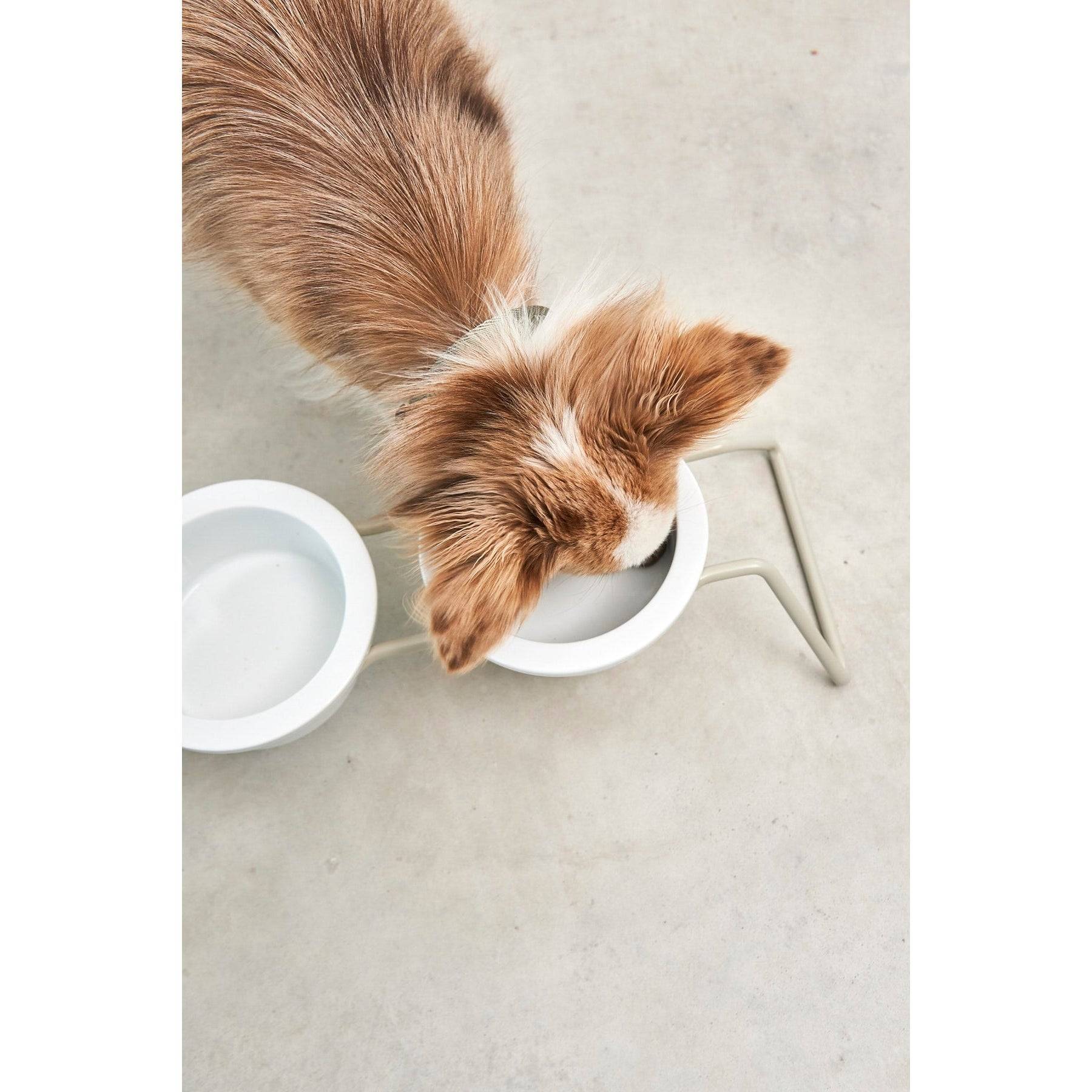 MiaCara Cena Elevated Dog Feeder - Porcelain - Image 10