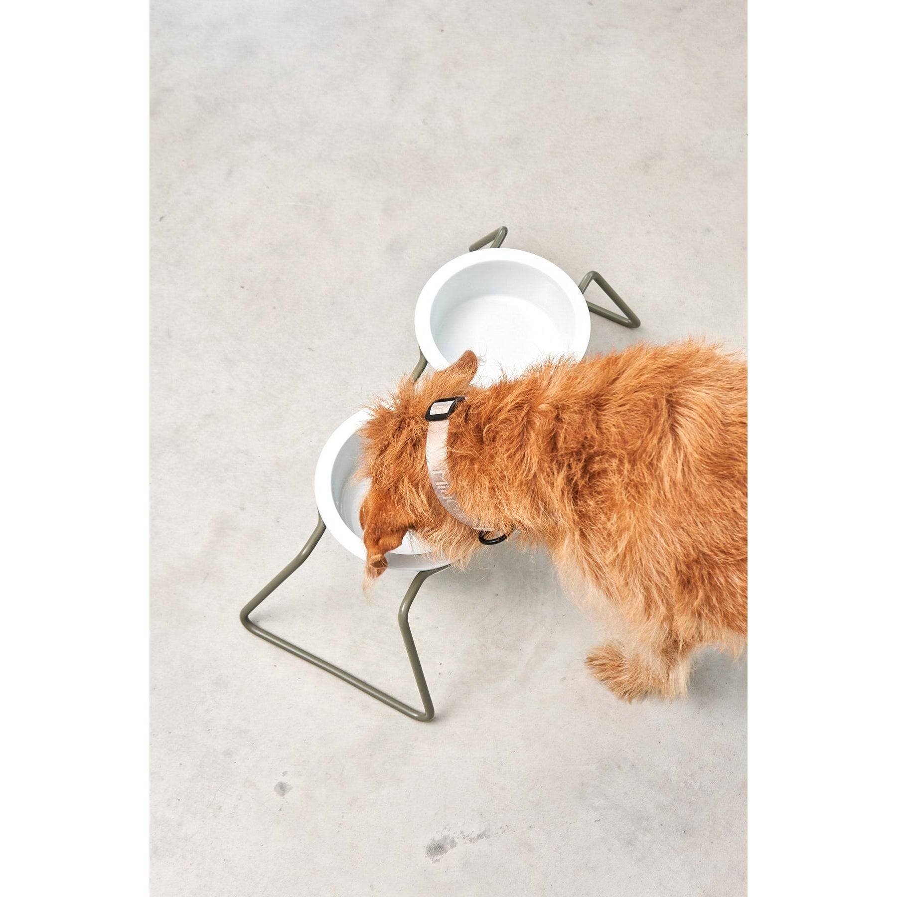 MiaCara Cena Elevated Dog Feeder - Porcelain - Image 11