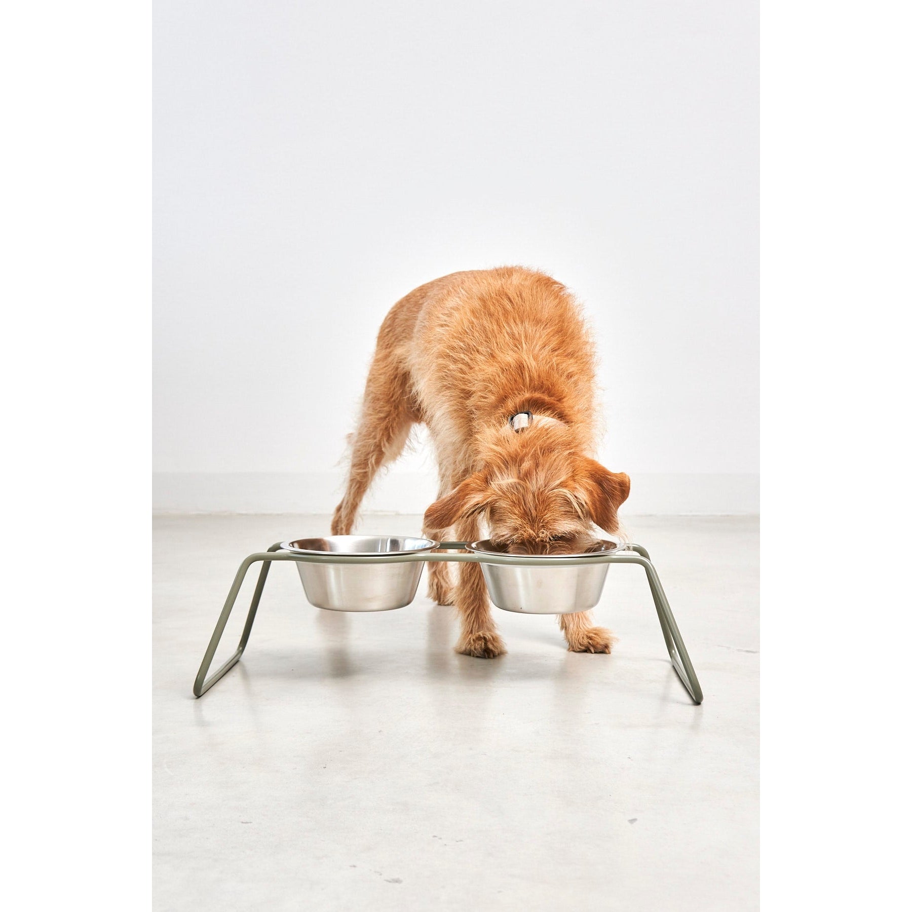 MiaCara Cena Elevated Dog Feeder - Stainless Steel - Image 7