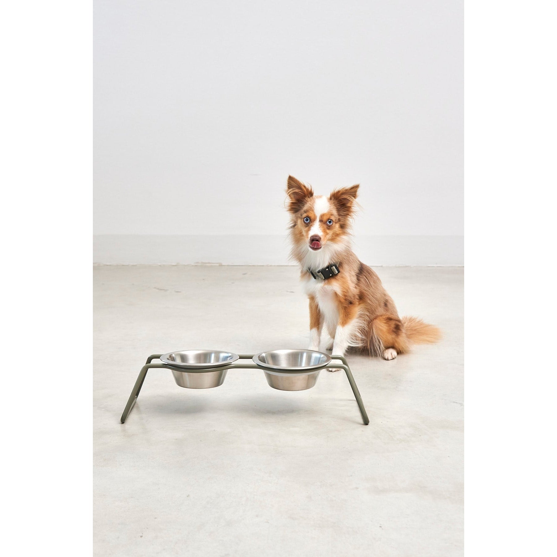 MiaCara Cena Elevated Dog Feeder - Stainless Steel - Image 8