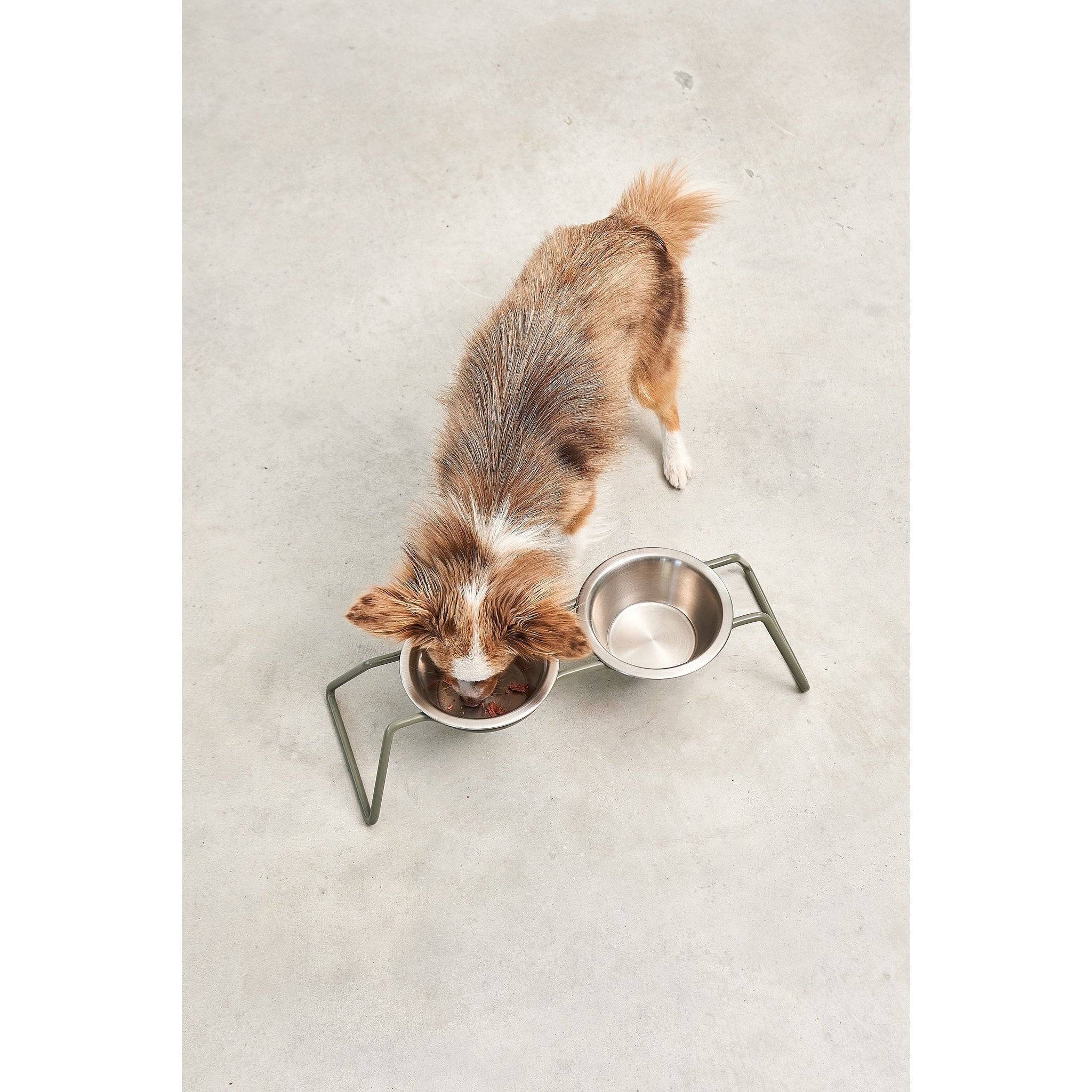 MiaCara Cena Elevated Dog Feeder - Stainless Steel - Image 9
