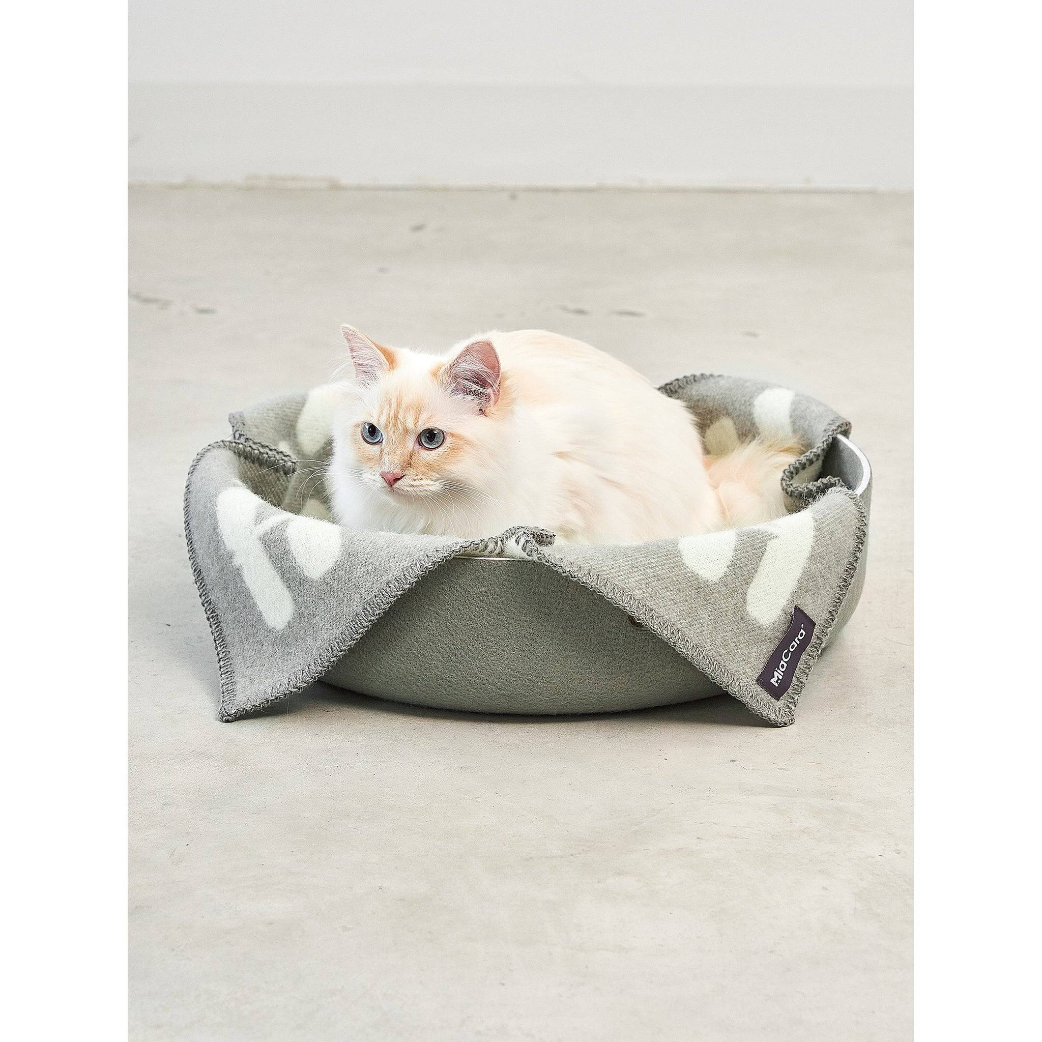 A cream cat in a MiaCara Cesto cat basket with grey patterned liner