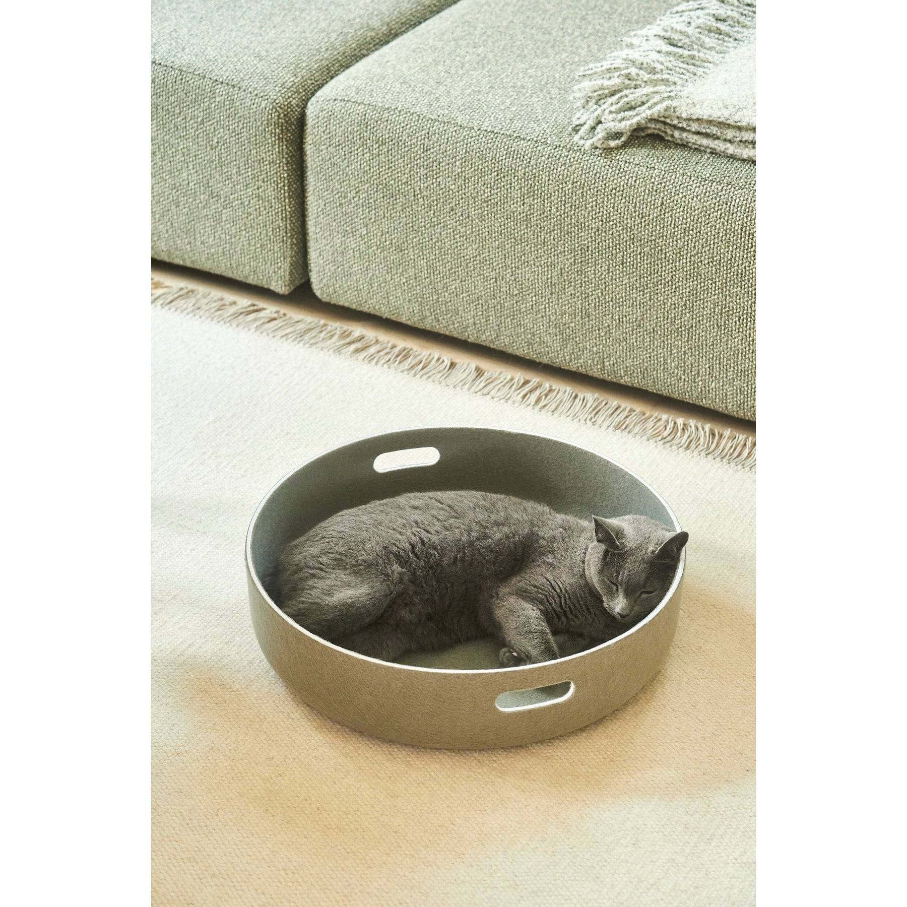 A grey cat sleeping soundly in a MiaCara Cesto cat basket on a rug
