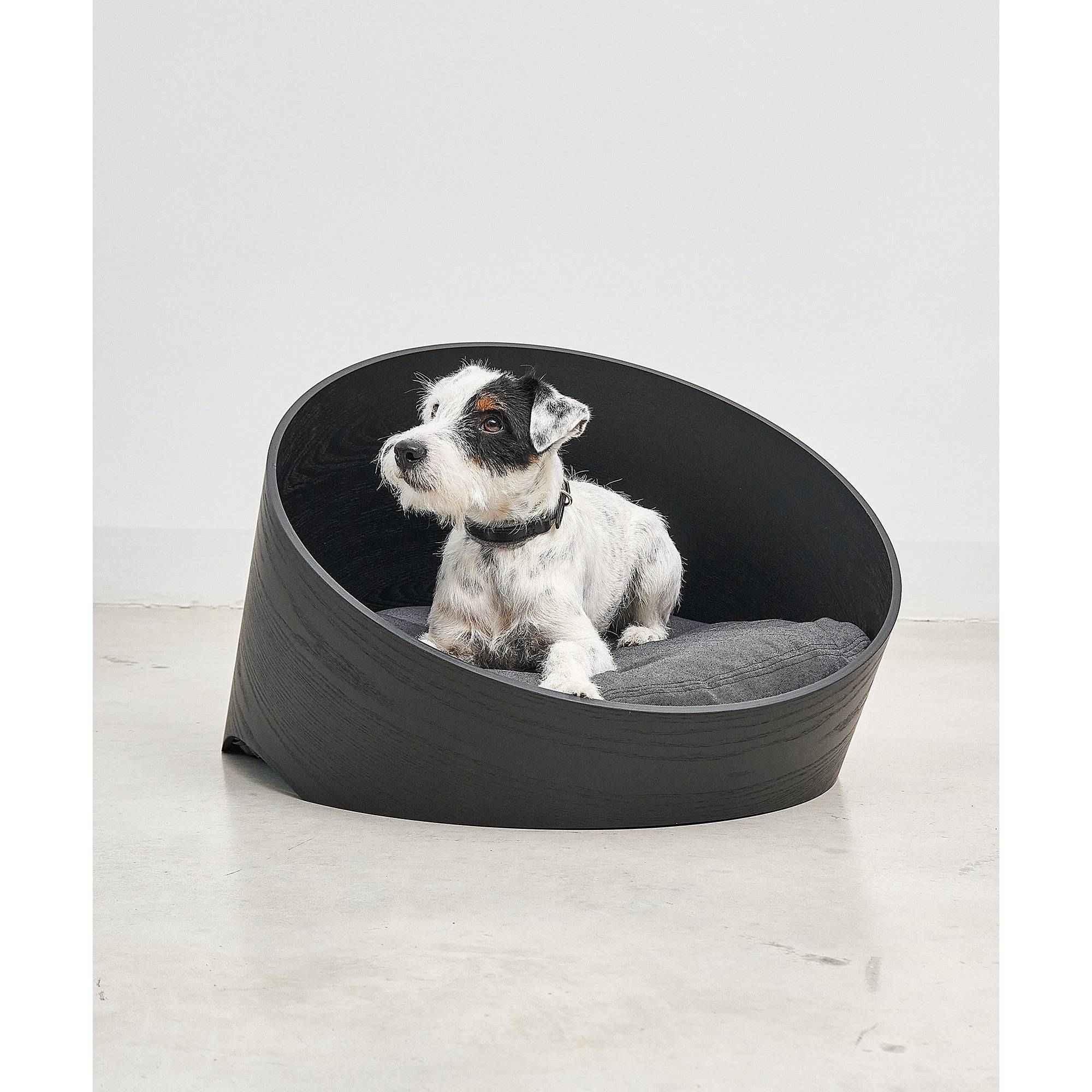 Contemporary MiaCara Covo dog basket in charcoal with German design, featuring small terrier on grey cushion