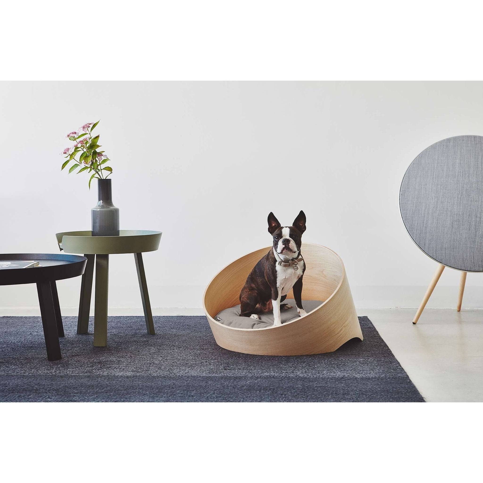 MiaCara Covo designer dog basket in natural wood with Boston Terrier, modern minimalist pet furniture for stylish homes
