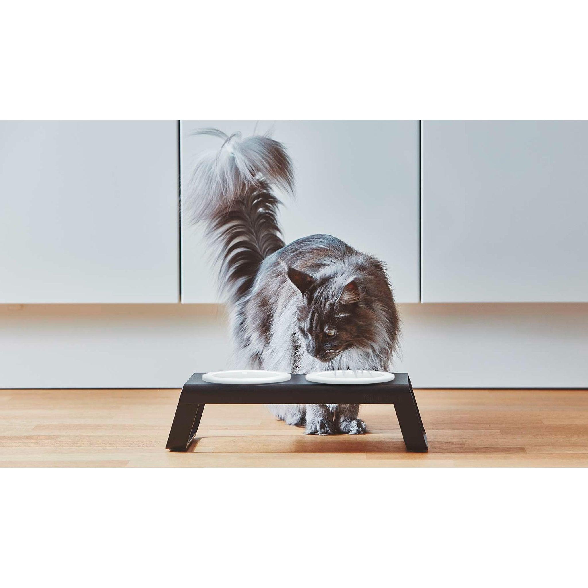 Minimalist black cat feeder with porcelain bowls - German design pet furniture for modern homes by MiaCara
