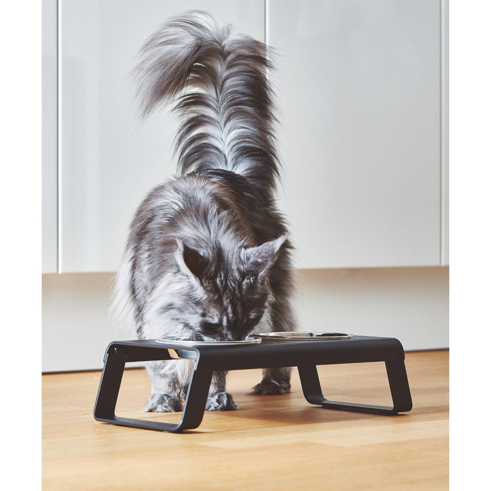 Designer MiaCara Desco elevated cat feeder with stainless steel bowls, modern minimalist German pet furniture