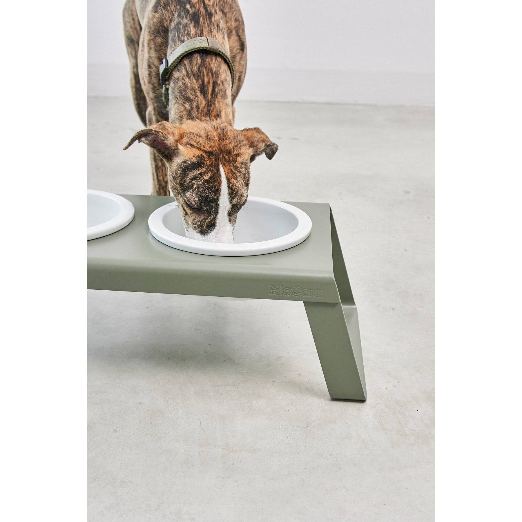 MiaCara Desco Elevated Dog Feeder - Porcelain - Image 17