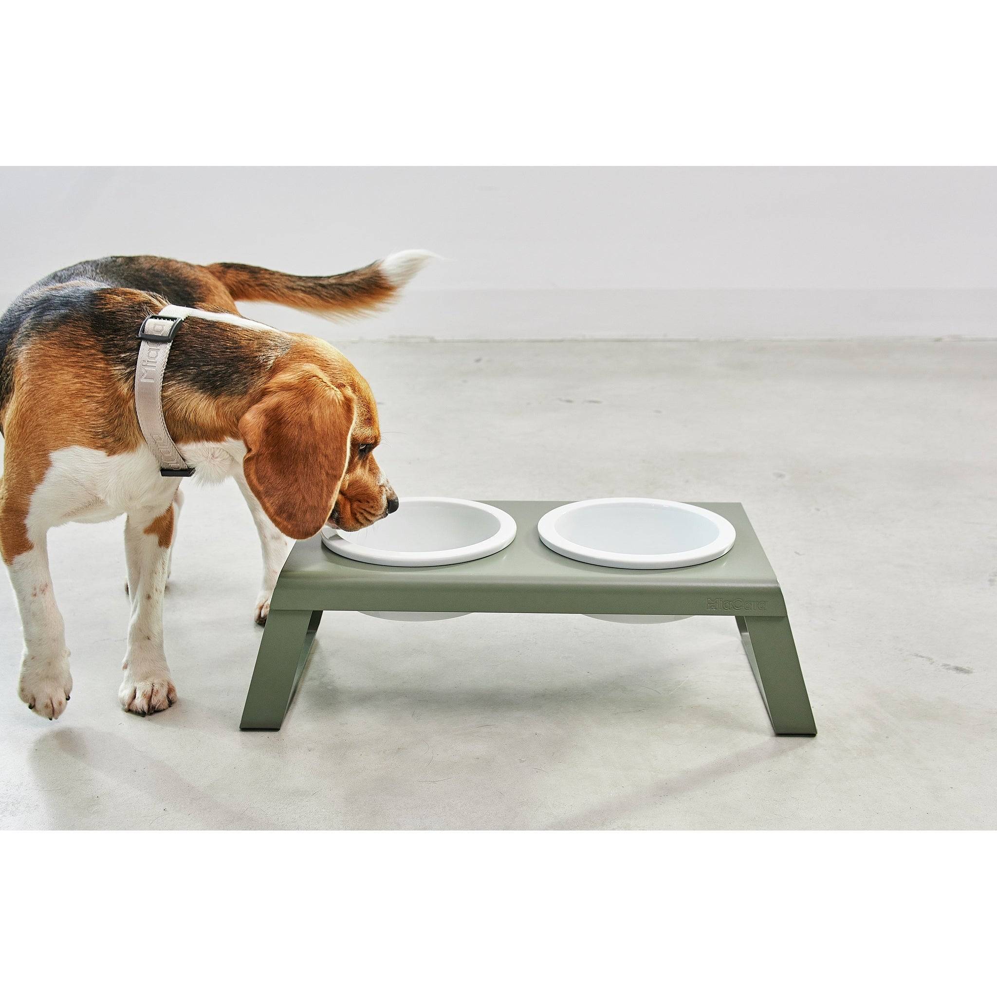MiaCara Desco Elevated Dog Feeder - Porcelain - Image 19