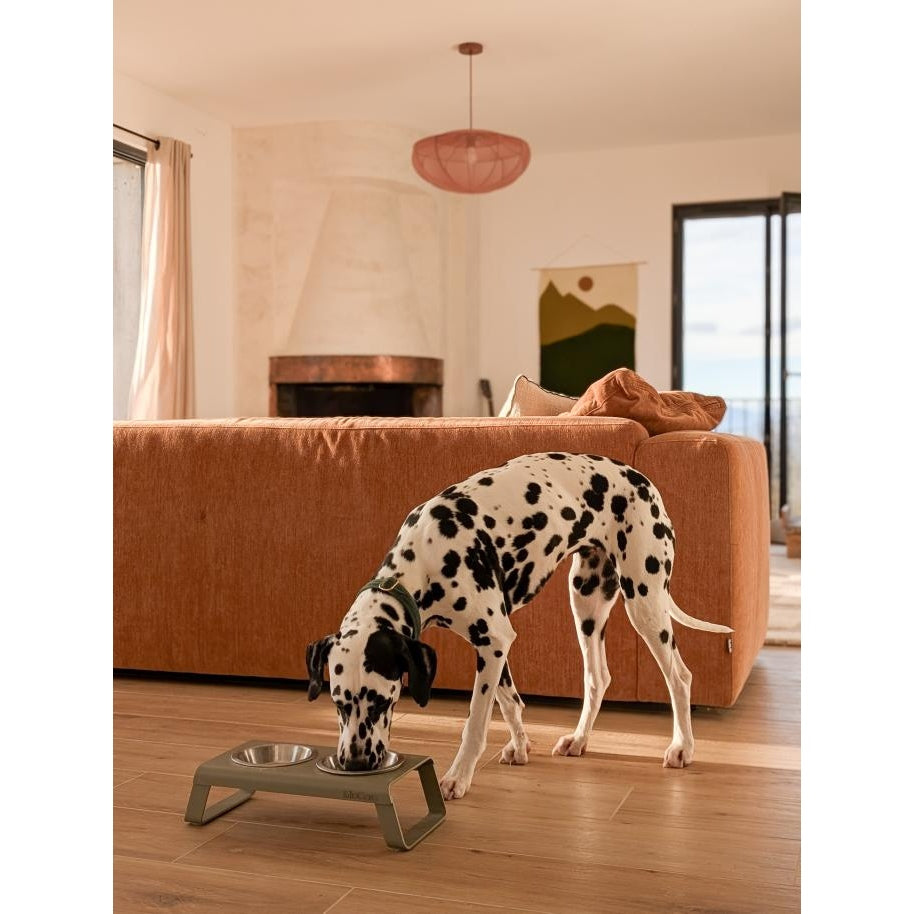 A Dalmatian dog eating from a MiaCara Desco Elevated Feeder in a living room