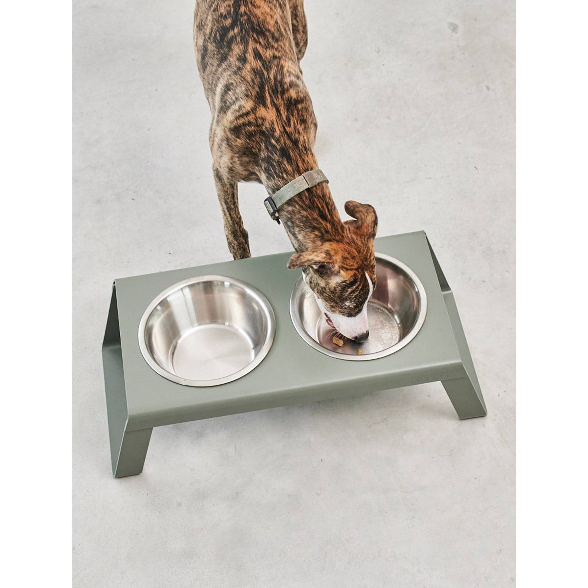 A brindle dog eating from a green MiaCara Desco elevated feeder with two bowls