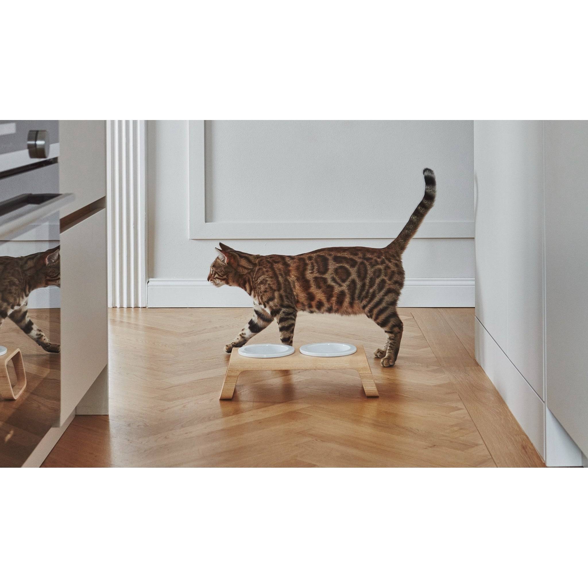 Bengal cat eating from elevated porcelain bowls on minimalist wooden MiaCara Desco feeder in modern interior