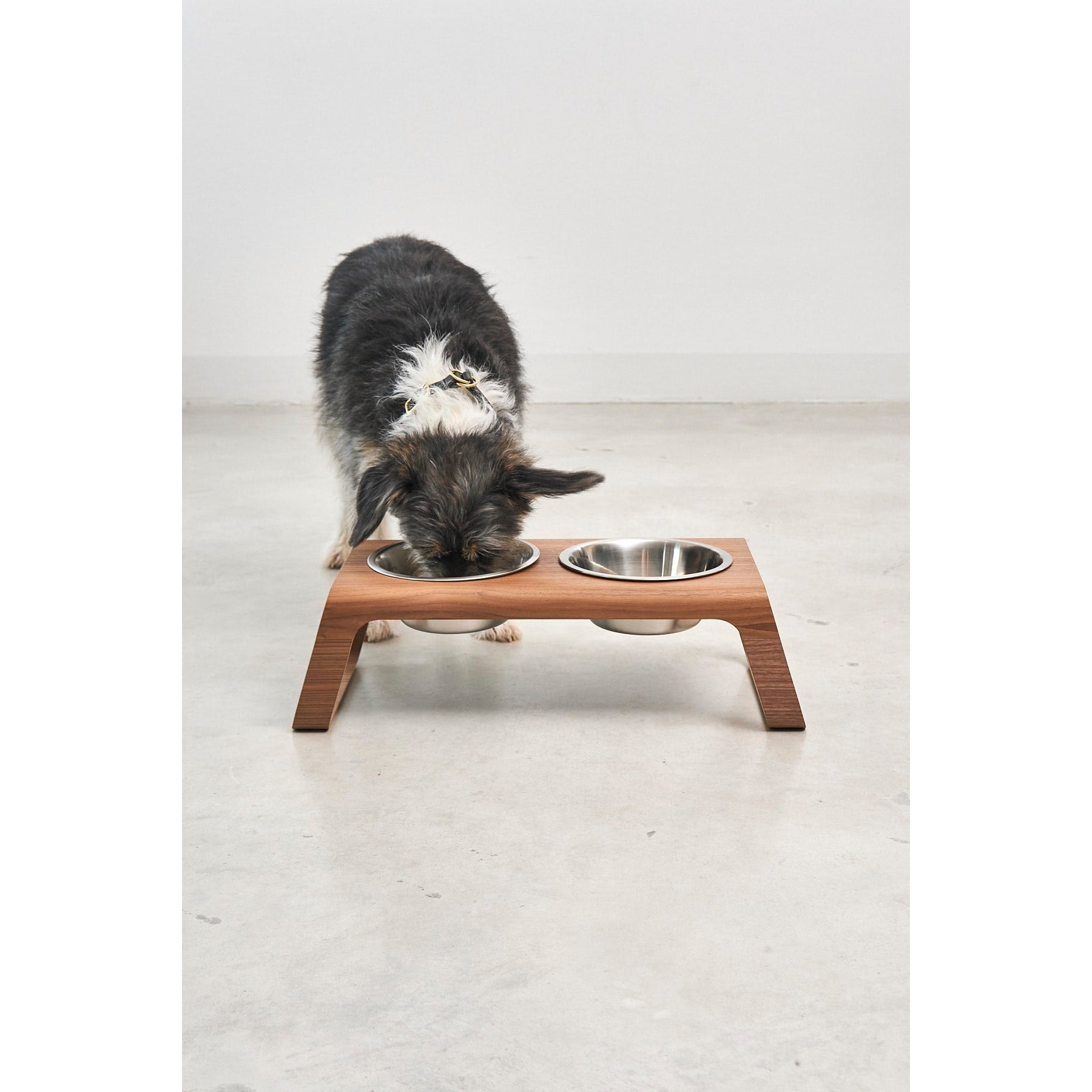 A small dog eating from a MiaCara Desco Walnut elevated feeder with two bowls